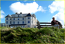 Cornwall Tourism Magazine - Doggy holidays in Cornwall - Mullion Cove Hotel - Copyright - Ed Stone Web Design